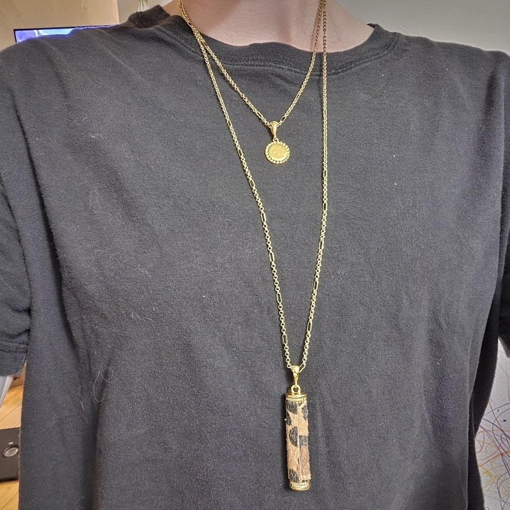 Chic 2-in-1 Layered Necklace | Leopard Print Pendant & Gold Coin‎
